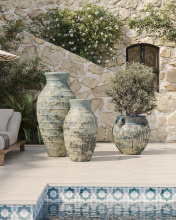 Images Shw2200-0064_12.jpg